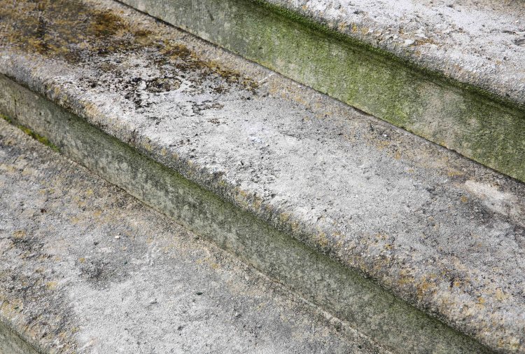 antique limestone steps