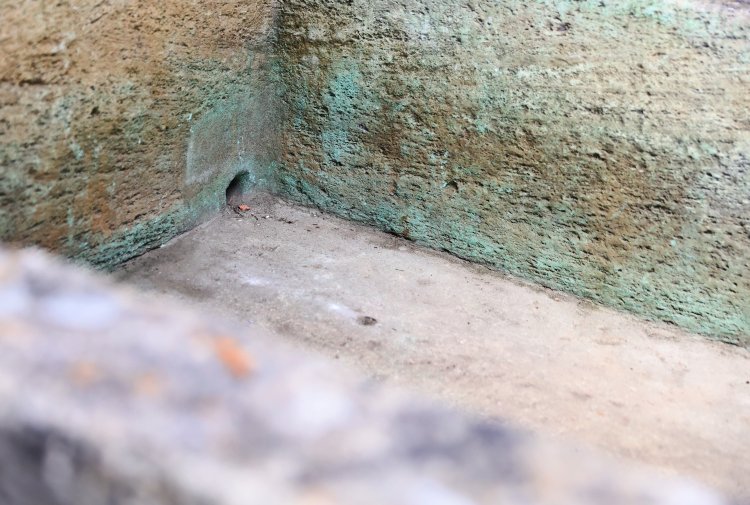 19th century trough