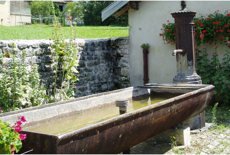 old french drinking trough 