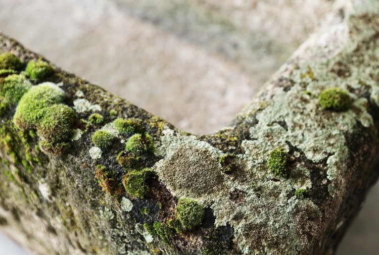 antique trough