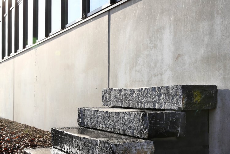 Reclaimed Bluestone Steps