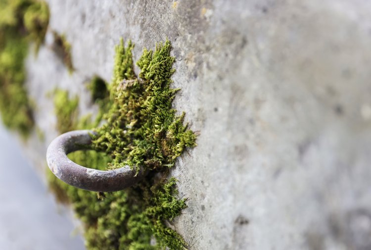 old trough of french limestone