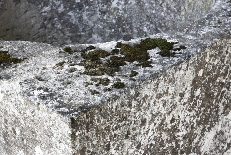 antique well of french limestone