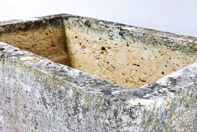 19th century trough