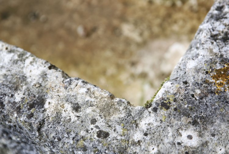 Antique trough