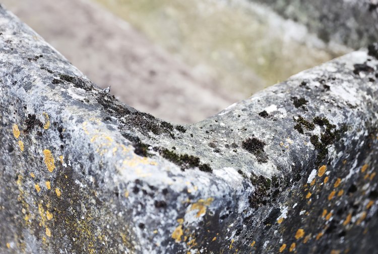 old trough of french limestone