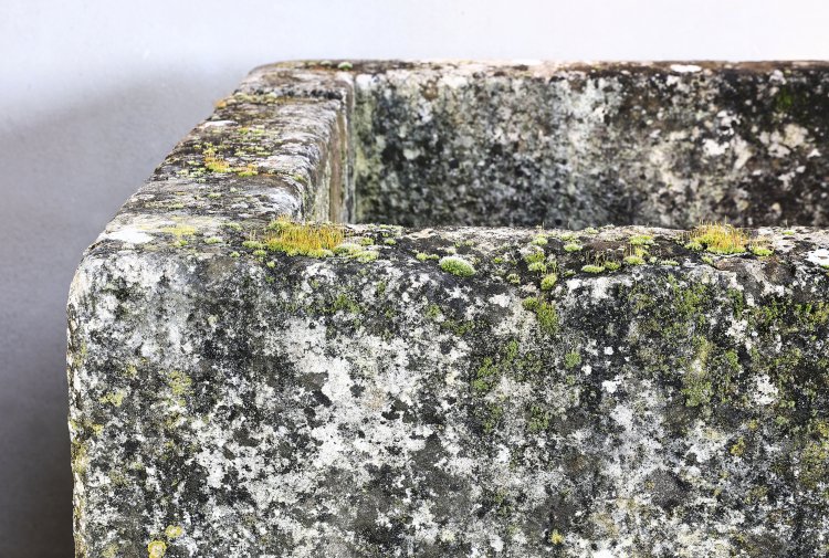 old french limestone trough